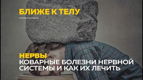 Стрессы и эмоции: наша реакция на внешний мир