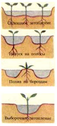 Струйка или ирригация