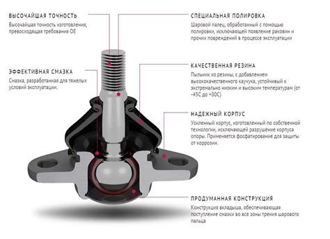 Структура и функции шаровой опоры