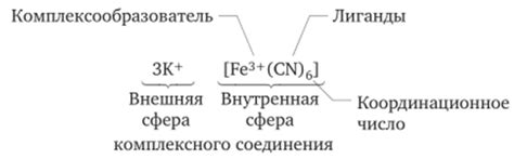 Структура тела: элементы и соединения