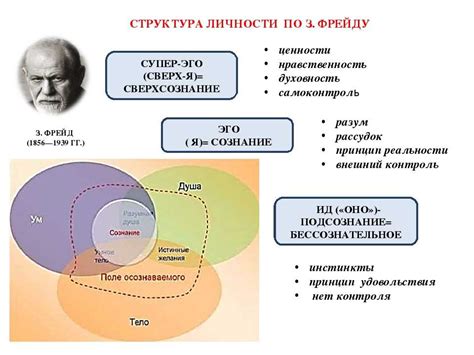 Субъект в психологии: его сущность и роль