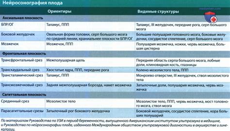 Суб и супратенториальные структуры: что это?