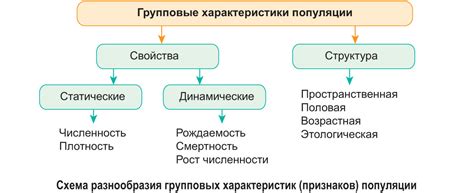 Суккуб: основные характеристики и признаки существования