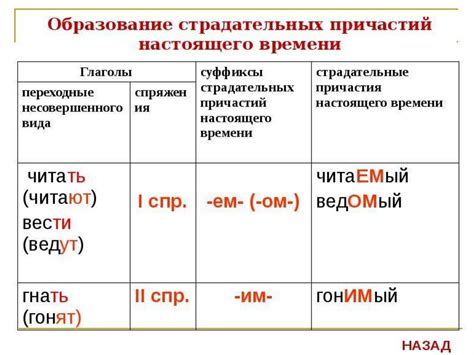 Сущность страдательного причастия