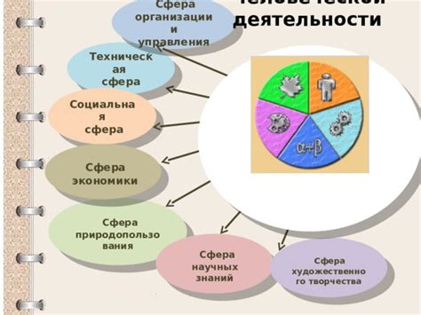 Сферы деятельности и варианты творчества