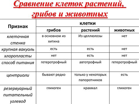 Сходства и различия: