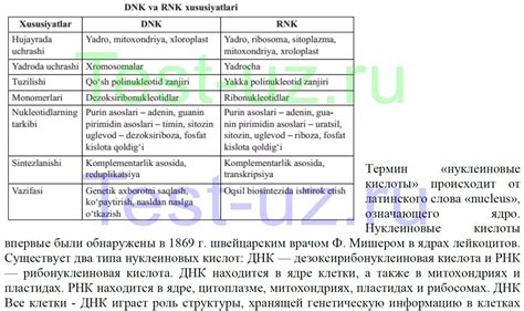 Сходства и различия между Вупсенем и Пупсенем: