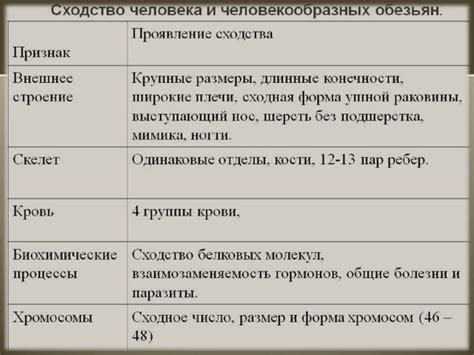 Сходства и различия человека и обезьян