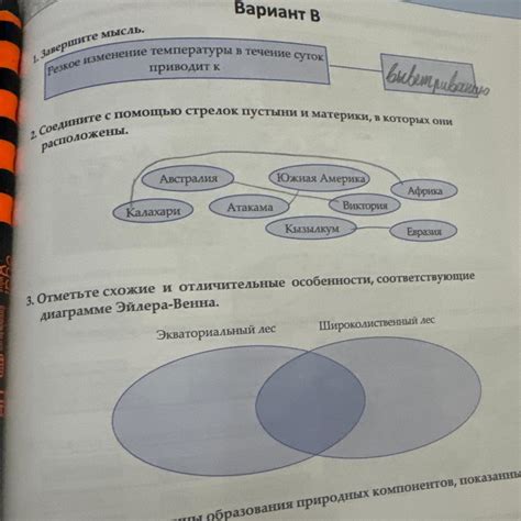 Схожие и отличительные признаки