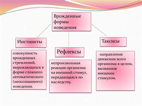 Таксисы: виды и примеры