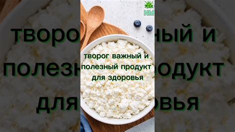 Творог: полезный продукт или вредные последствия?