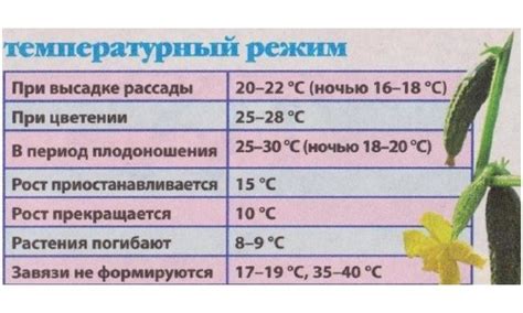 Температурный режим для подкармливания огурцов в теплице