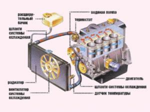 Термостат и охладительная система