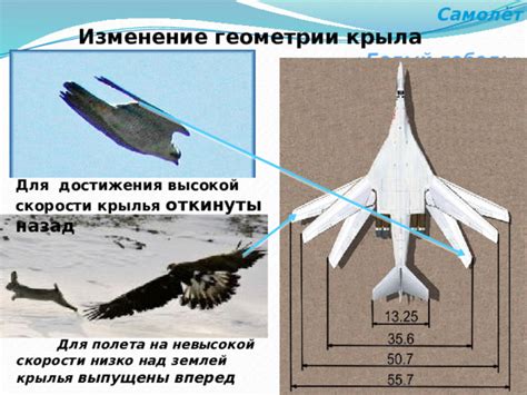 Техника полета как основа для достижения высокой скорости