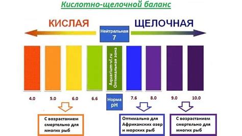 Техники улучшения щелочной почвы