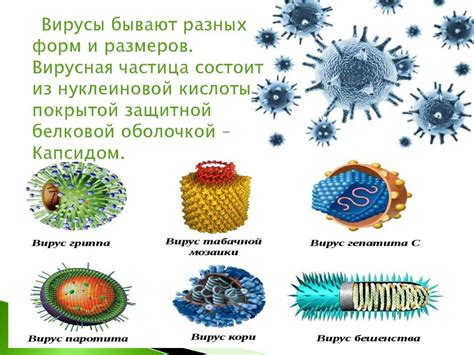 Технологии применения белковой оболочки