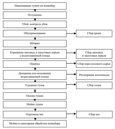 Технологический процесс обработки птицы: