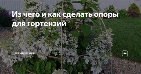 Типы красителей для гортензий