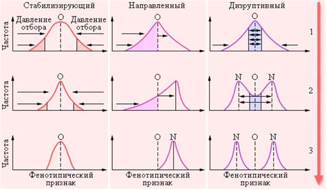 Типы отбора