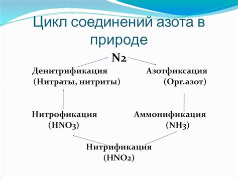 Типы соединений азота