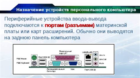 Типы устройств, к которым они подключаются