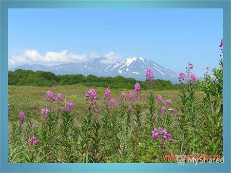 Тихоокеанское побережье Камчатки