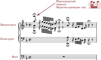 Токката и фуга в музыке: в чем особенности и различия?