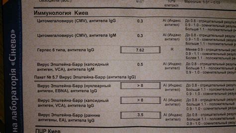 Толкование рубеллы IgG результатов