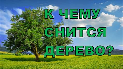 Толкование сновидений: К чему снится дерево с плодами женщине?