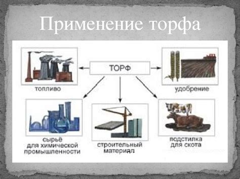 Торф - определение и использование