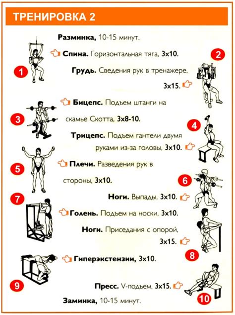 Тренировочный план для маке боди тренировок