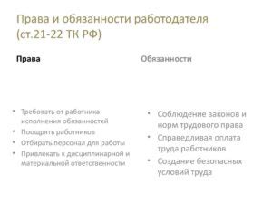 Трудовая деятельность по ТК РФ: основные принципы и положения