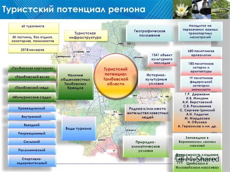 Туристический потенциал Светла