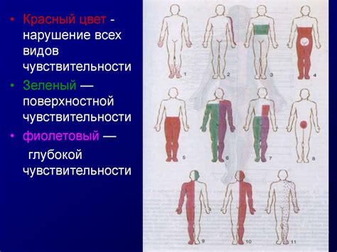 Увечья и утрата чувствительности