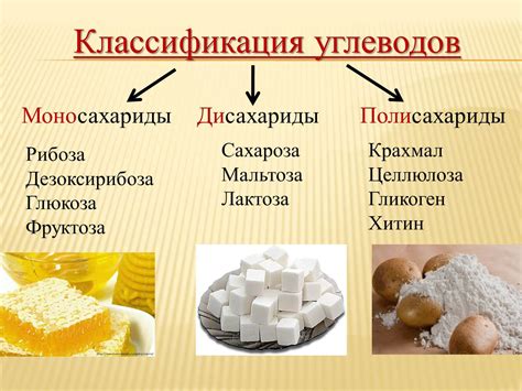 Углеводы и их важность для организма человека