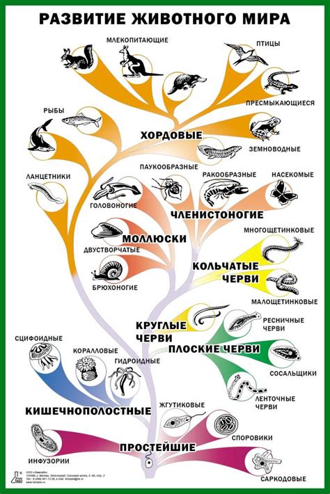 Угроза для животного мира