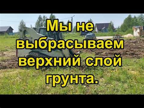 Удаление дерна: основные правила и методы