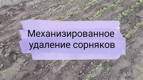 Удаление сорняков и остатков предыдущих культур