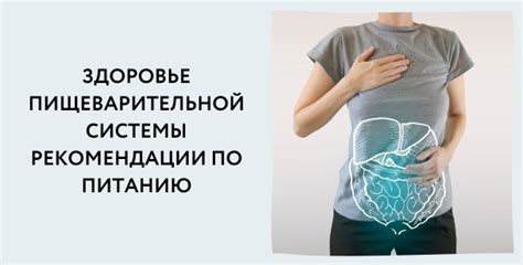 Удивительные секреты пищеварительной системы