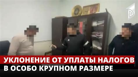 Уклонение от выплаты налогов или хищение имущества компании