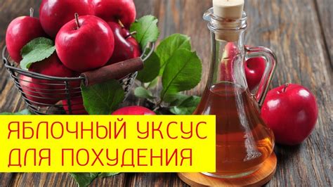 Уксус как натуральное средство для похудения