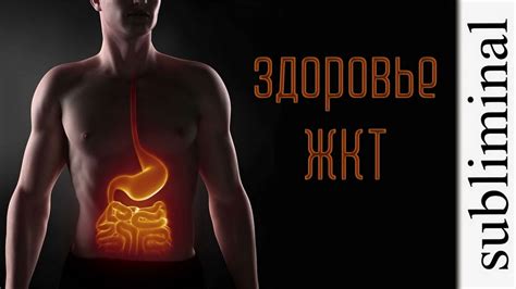 Улучшение работы желудочно-кишечного тракта