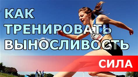 Улучшение физической выносливости