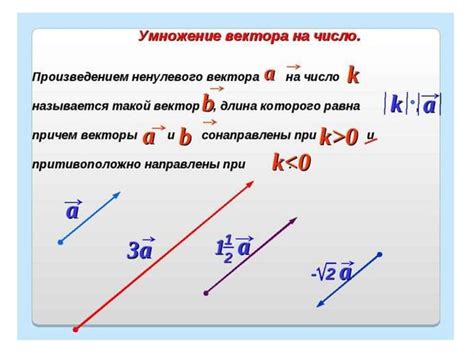 Умножение вектора на число: суть и примеры