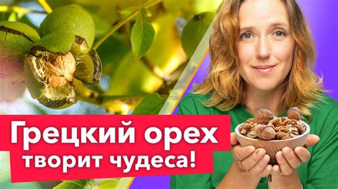 Уникальные свойства ореха: незаменимый помощник в саде