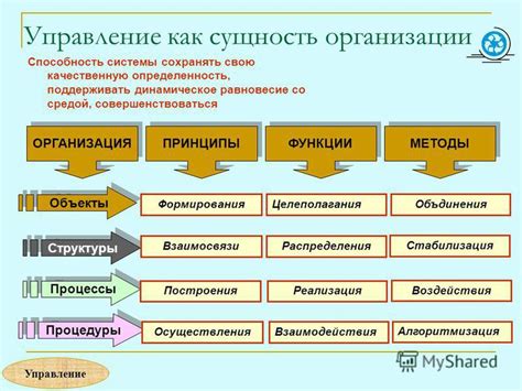 Управление как сущность