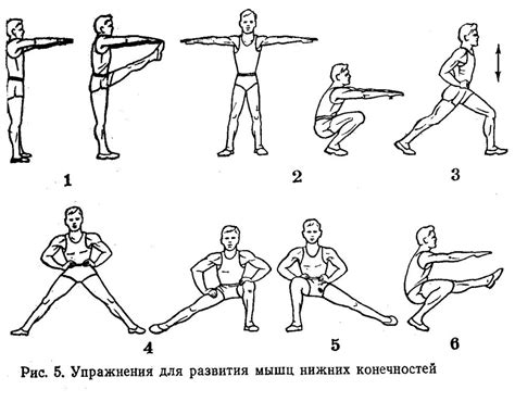 Упражнения для развития выносливости и силы