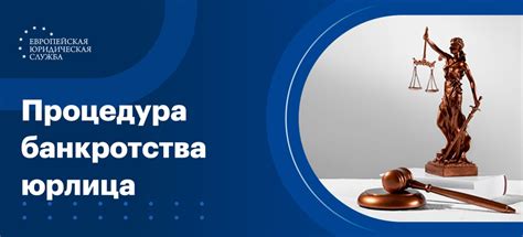 Упрощенная процедура банкротства юридического лица: основные понятия и принципы