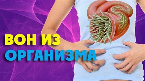 Успокойте организм и уменьшите рвотные рефлексы