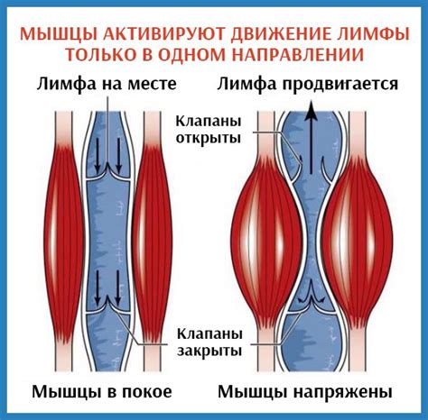 Ухудшение качества мышц и тонуса тела